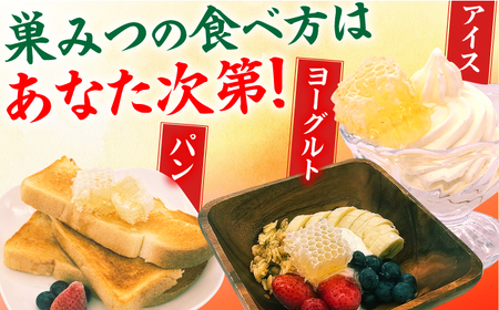 【先行受付 令和6年7月より発送】国産巣みつ 300g 蜂蜜 はちみつ コムハニー 極上 濃厚 広川町 / 株式会社九州蜂の子本舗[AFAI004]