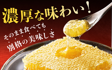 先行予約 2025年7月より発送】国産巣みつ 600g(300g×2個) / 九州
