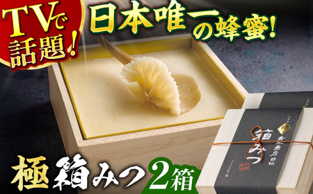 極箱みつ 2個セット 計800g (400g×2個) / はちみつ 蜂蜜 箱みつ[AFAI014]