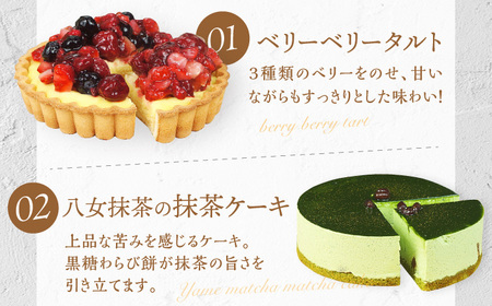 【3回定期便】6種のケーキ・タルト スイーツ定期便 / ケーキ[AFAK033]