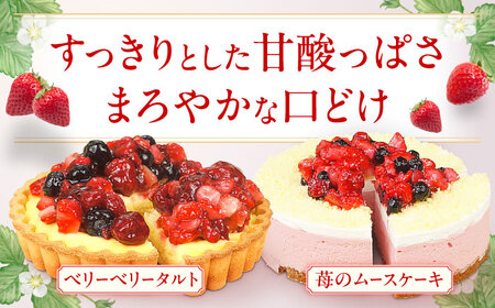 ケーキ・タルトセット（苺のムースケーキ・ベリーベリータルト） けーき いちご イチゴ 苺ケーキ たると スイーツ デザート ベリー 洋菓子 お菓子 スポンジ 冷凍  広川町 / イートウェル株式会社 [AFAK152]