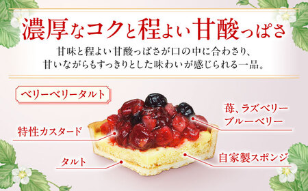 ケーキ・タルトセット（苺のムースケーキ・ベリーベリータルト） けーき いちご イチゴ 苺ケーキ たると スイーツ デザート ベリー 洋菓子 お菓子 スポンジ 冷凍  広川町 / イートウェル株式会社 [AFAK152]