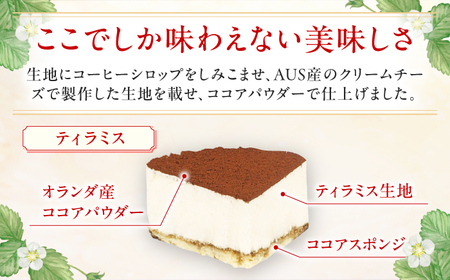 訳あり 4号 ケーキ 3種類 セット レアチーズ ショコラムース ティラミス ケーキ けーき スイーツ 冷凍 パーティー 食べ比べ 広川町 / イートウェル株式会社 [AFAK218]