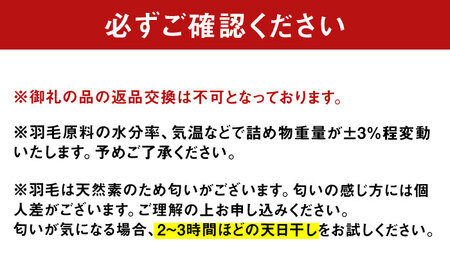 国産 「筑後七国」 羽根まくら 抗菌・防臭加工 / 枕 吸湿 ピロー 羽根枕 柔らか 睡眠 寝具 スモールフェザー[AFAO003]