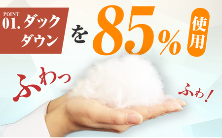 【色を選べる】筑後七国羽毛ふとん / 布団 睡眠 寝具 ふとん [AFAO005]