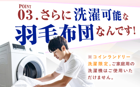 【色を選べる】筑後七国羽毛ふとん / 布団 睡眠 寝具 ふとん [AFAO005]
