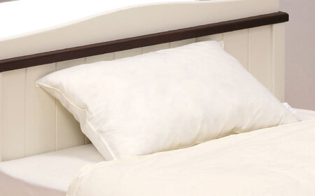 筑後七国羽毛まくら 羽根まくら 2個セット / まくら 枕 マクラ 寝具 [AFAO012]