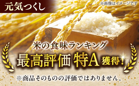 【令和6年産】元気つくし 15kg （5kg×3袋） 米 こめ コメ お米 ご飯 ごはん 精米 白米 新米 ライス 元気つくし 県産米 国産米 ブランド米 福岡 広川町 / JAふくおか八女農産物直売所どろや [AFAB001]