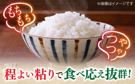 【令和6年産】元気つくし 15kg （5kg×3袋） 米 こめ コメ お米 ご飯 ごはん 精米 白米 新米 ライス 元気つくし 県産米 国産米 ブランド米 福岡 広川町 / JAふくおか八女農産物直売所どろや [AFAB001]