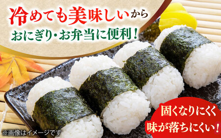 【令和6年産】元気つくし 15kg （5kg×3袋） 米 こめ コメ お米 ご飯 ごはん 精米 白米 新米 ライス 元気つくし 県産米 国産米 ブランド米 福岡 広川町 / JAふくおか八女農産物直売所どろや [AFAB001]