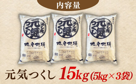 【令和6年産】元気つくし 15kg （5kg×3袋） 米 こめ コメ お米 ご飯 ごはん 精米 白米 新米 ライス 元気つくし 県産米 国産米 ブランド米 福岡 広川町 / JAふくおか八女農産物直売所どろや [AFAB001]