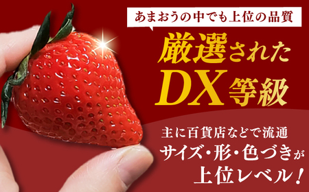 【★先行予約★　2025年2月上旬より発送】あまおうDX等級 2ケース（270g×4パック） いちご イチゴ 苺 フルーツ 果物 旬 福岡県産 小分け あまおう 博多 大きい 甘い いちご イチゴ 広川町 / JAふくおか八女農産物直売所どろや [AFAB004]