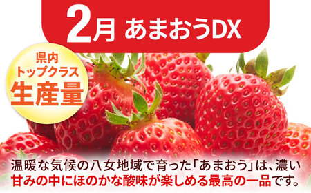 【★先行予約★　2025年2月発送開始】【3回定期便】3回コース いちご もも ぶどう 巨峰 ピオーネ イチゴ 桃 ブドウ くだもの フルーツ 広川町 / JAふくおか八女農産物直売所どろや [AFAB010]