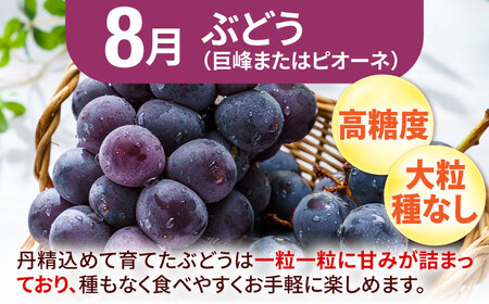 【★先行予約★　2025年2月発送開始】【3回定期便】3回コース いちご もも ぶどう 巨峰 ピオーネ イチゴ 桃 ブドウ くだもの フルーツ 広川町 / JAふくおか八女農産物直売所どろや [AFAB010]