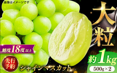 【★先行予約★ 2026年8月下旬以降発送】シャインマスカット 2房セット 約1kg / シャインマスカット [AFAB012]