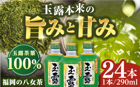 福岡の八女茶 玉露 ボトル缶 290g×24本 お茶 緑茶 八女茶 おちゃ 飲み物 ドリンク 水分補給 常温 広川町 / JAふくおか八女農産物直売所どろや [AFAB014]