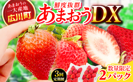 【全3回定期便】博多あまおう　いちご イチゴ 苺 フルーツ 果物 旬 福岡県産 小分け　広川町 / JAふくおか八女農産物直売所どろや[AFAB019]