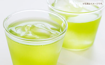 福岡の八女茶 ペットボトル 500ml×24本 / お茶[AFAB021]