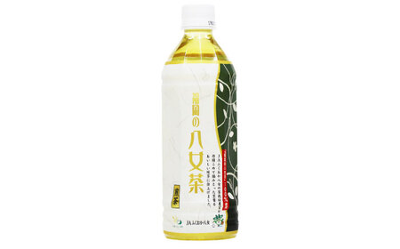 福岡の八女茶 ペットボトル 500ml×24本 / お茶[AFAB021]