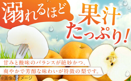 【★先行予約★　2025年8月下旬より発送】梨（豊水） 約5kg なし ナシ 梨 豊水 果物 くだもの 産地直送 果汁 フルーツ 旬 甘い 梨 なし 広川町 / JAふくおか八女農産物直売所どろや [AFAB023]
