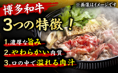 【6回定期便】切り落とし 1000g（500g×2P）[AFBO079]