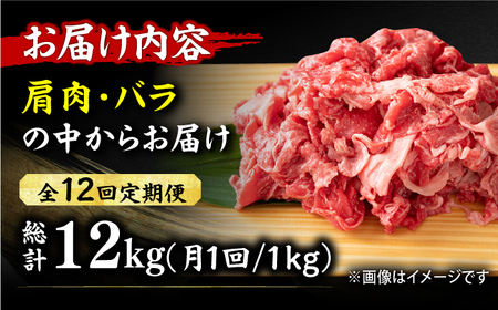 【12回定期便】 切り落とし 1000g（500g×2P）[AFBO080]