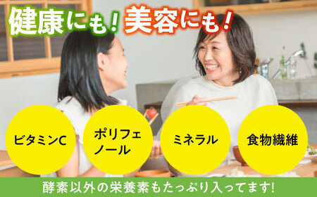 【9月中旬より発送】【栄養満点スーパーフード】青パパイヤ 約1kg（1-2個） / 野菜 パパイヤ[AFBK001]