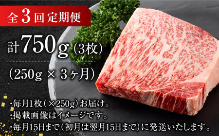 【3回定期便】サーロインステーキ250g×1枚 [AFBO002]