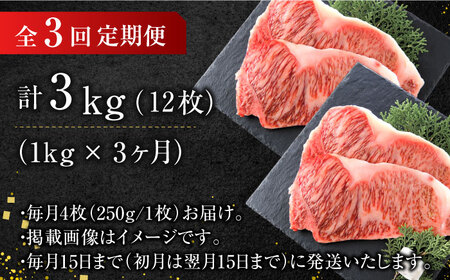 【3回定期便】サーロイン 1kg（250g×4枚） [AFBO010]