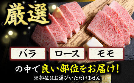 【和牛の旨味を堪能！】博多和牛 焼肉用 500g 焼肉 国産和牛 博多和牛 和牛 BBQ 焼肉用 肉 にく ニク カルビ ロース モモ 広川町/株式会社MEAT PLUS [AFBO069]