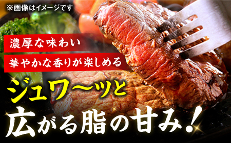【10回定期便】サーロイン ステーキ 200g×2枚 / ステーキ お肉 牛肉 [AFBV005]