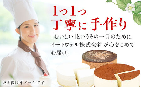 【3回定期便】訳ありケーキ3種類セット（レアチーズ・ショコラムース・ティラミス） / ケーキ スイーツ[AFAK028]