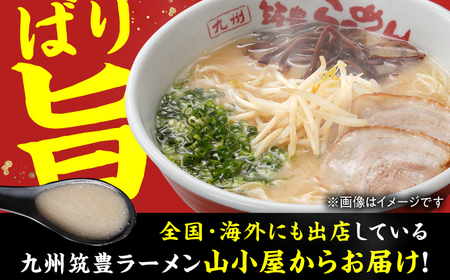 高菜生ラーメン10食セット らーめん たかな 高菜 麺 豚骨 とんこつスープ 中華麺 生麺 冷蔵 時短 手軽 筑豊ラーメン やまごや 九州 福岡 広川町 / ワイエスフード株式会社 [AFAE007]