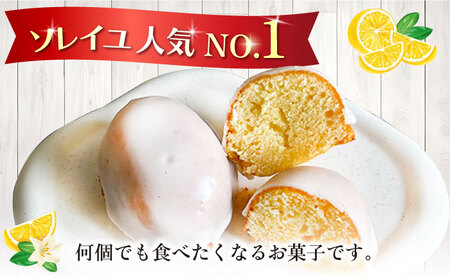 人気NO.1レモンケーキ10個セット / レモンケーキ プレゼント[AFBT001]