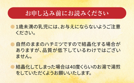 【8月下旬より発送】国産蜂蜜 とんがり容器 500g×2本 / 蜂蜜[AFBL001]