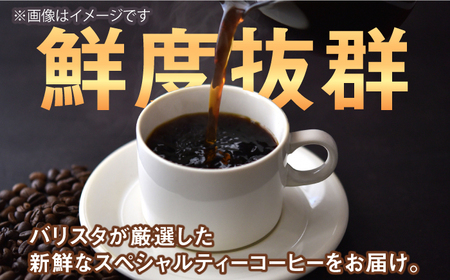 ドリップバッグコーヒー 10個 / 珈琲 コーヒー 飲料[AFBJ005]
