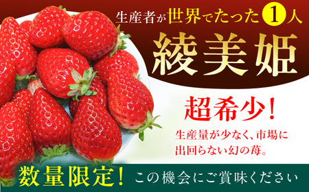 【先行予約 2025年2月より発送】 〈幻のイチゴ〉綾美姫270g×2  いちご 苺 果物 フルーツ 人気 希少  イチゴ ストロベリー 福岡 広川町 / 石川農園[AFCC001]