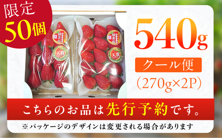 【先行予約 2025年2月より発送】 〈幻のイチゴ〉綾美姫270g×2  いちご 苺 果物 フルーツ 人気 希少  イチゴ ストロベリー 福岡 広川町 / 石川農園[AFCC001]