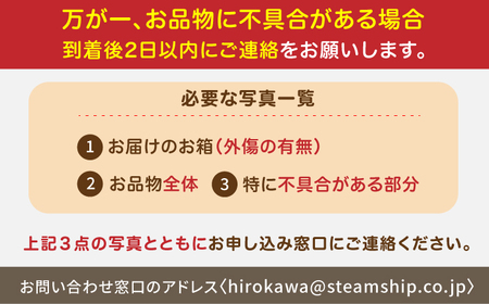 【先行予約 2025年2月より発送】 〈幻のイチゴ〉綾美姫270g×2  いちご 苺 果物 フルーツ 人気 希少  イチゴ ストロベリー 福岡 広川町 / 石川農園[AFCC001]