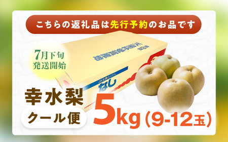 【★先行予約★ 2025年7月下旬より発送】梨（幸水）約5kg  なし 果物 フルーツ ナシ 広川町 / JAふくおか八女農産物直売所どろや[AFAB060]