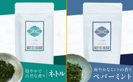 ハーブ煎茶4種飲み比べセット / ティーバッグ お茶[AFAG018]