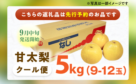 【★先行予約★　2025年9月中旬より発送】梨（甘太）約5kg なし ナシ 果物 フルーツ 福岡広川町 / JAふくおか八女農産物直売所どろや[AFAB061]