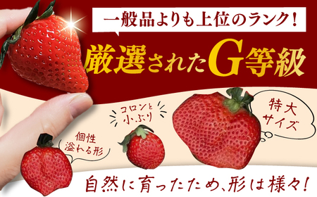 【2025年2月上旬より発送】あまおうG等級 1ケース（270g×2パック） イチゴ いちご 苺 福岡 あまおういちご 甘いイチゴ 大きい苺 広川町 / JAふくおか八女農産物直売所どろや[AFAB069]