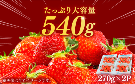 【2025年2月上旬より発送】あまおうG等級 1ケース（270g×2パック） イチゴ いちご 苺 福岡 あまおういちご 甘いイチゴ 大きい苺 広川町 / JAふくおか八女農産物直売所どろや[AFAB069]