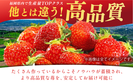 【2025年2月上旬より発送】あまおうG等級 1ケース（270g×2パック） イチゴ いちご 苺 福岡 あまおういちご 甘いイチゴ 大きい苺 広川町 / JAふくおか八女農産物直売所どろや[AFAB069]