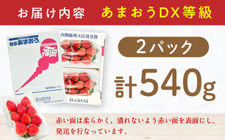 【★先行予約★　2026年2月より発送】いちご（あまおう）DX等級 1ケース（270g×2パック） / いちご 苺 イチゴ[AFAB072]