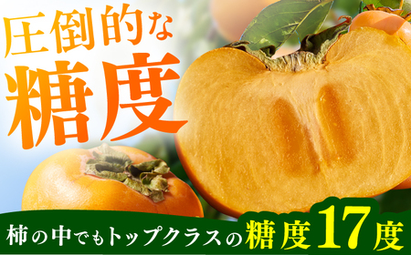 【★先行予約★ 2026年10月下旬より発送】柿（秋王） 約3.5kg / 柿[AFAB074]