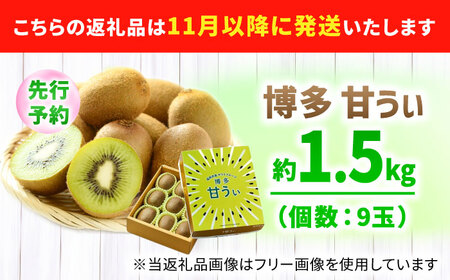【★先行予約★ 2026年11月上旬発送】博多甘うぃ 約1.5kg（9玉） / キウイ[AFAB078]