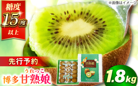 【★先行予約★ 2026年1月中旬より発送】博多甘熟娘(うれっこ) ヘイワードキウイ 約1.8kg（15玉） / キウイ 果物[AFAB076]