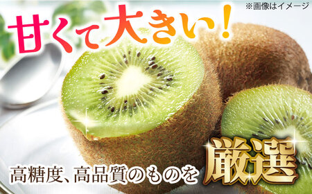【★先行予約★ 2026年1月中旬より発送】博多甘熟娘(うれっこ) ヘイワードキウイ 約1.8kg（15玉） / キウイ 果物[AFAB076]